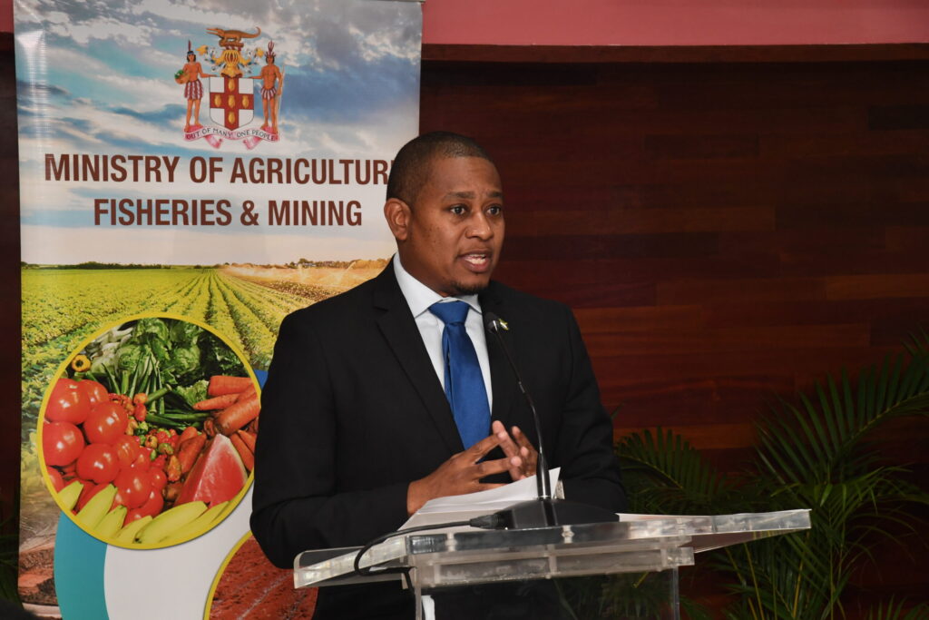 &lsquo;We will feed Jamaica&rsquo;