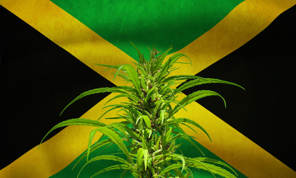 CanEx Jamaica To Explore Emerging Markets In The Cannabis Space