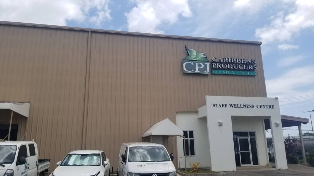 Insurance payout cushions CPJ after Melissa shock