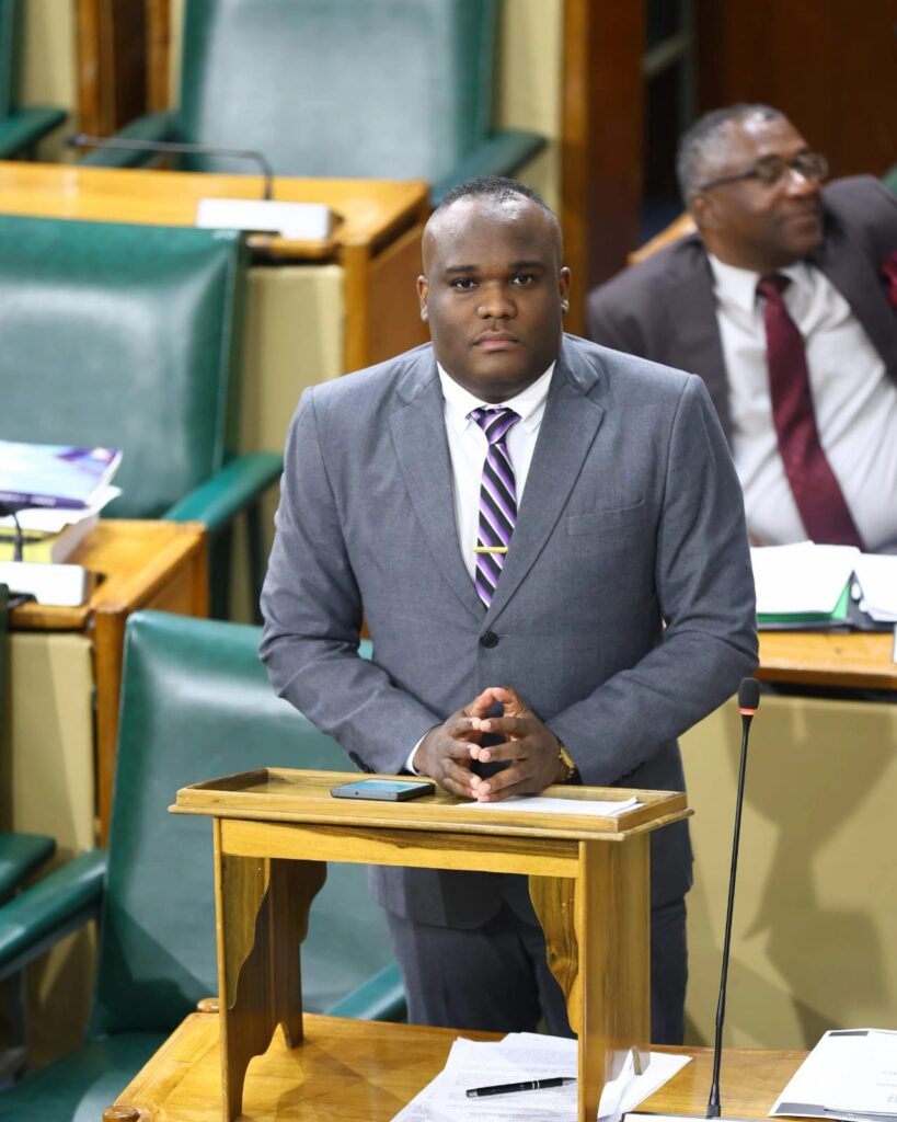 Smart, pragmatic approach to diplomacy serves Jamaica well, says Fitz-Henley