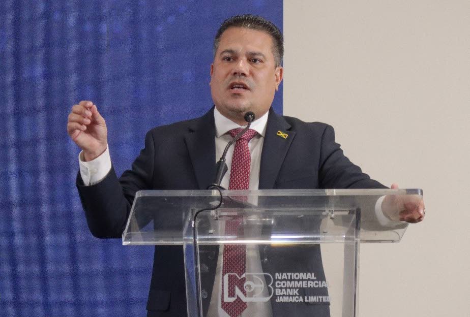 Public funds not enough for climate resilience &mdash; Samuda